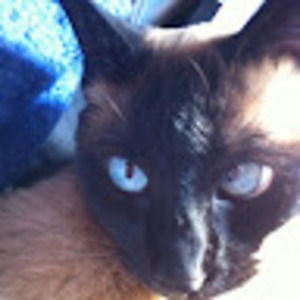 Meet your Posher, Ella